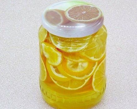 TOP 5 jednoduchých jednoduchých receptov na citrón s cukrom v pohári na zimu