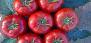 Beskrivning av tomatsorten Galina och dess egenskaper