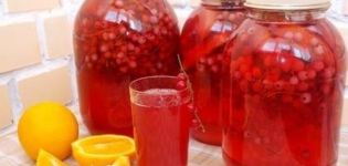 TOP 5 Rezepte für rotes Johannisbeerkompott mit Orange für den Winter