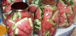 Leckere Instant-Rezepte für eingelegte Wassermelonen für den Winter in Gläsern