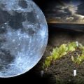 לוח ירח לגנן ולגנן למרץ 2020, הימים הטובים והגרועים ביותר לזריעה
