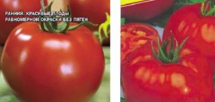 Description of tomato variety Tmae 683 f1 new from Japan