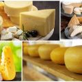Los 4 tipos y nombres principales de quesos de leche de oveja, beneficios y daños para el cuerpo