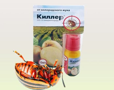 Instrucciones de uso de la droga Killer del escarabajo de la patata de Colorado.