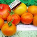 Beschrijving van de tomatenvariëteit Ananas, kenmerken van teelt en verzorging