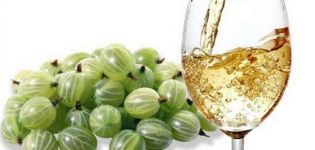 15 facili ricette passo-passo per preparare il vino all'uva spina a casa