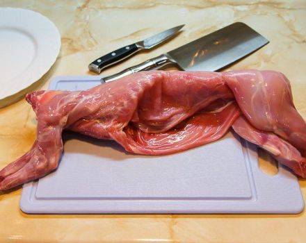 How to cut a rabbit at home, schemes and methods for beginners