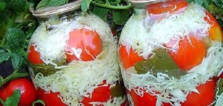 TOP 10 opskrifter på dåse tomater med kål i krukker til vinteren