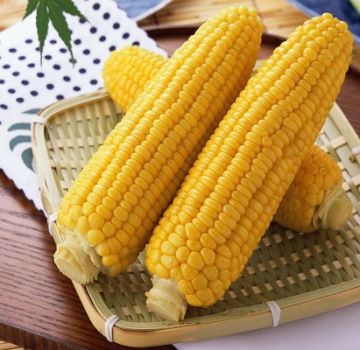 Health benefits and harms of corn, medicinal properties and contraindications