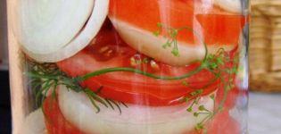 En simpel opskrift på fantastiske tomater i gelé til vinteren vil du slikke dine fingre