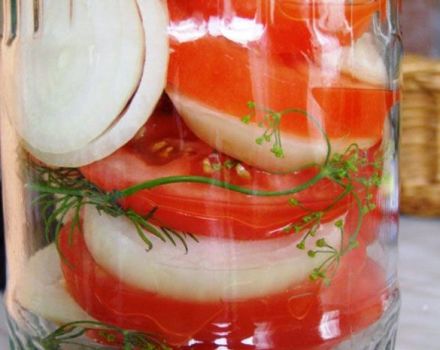En simpel opskrift på fantastiske tomater i gelé til vinteren vil du slikke dine fingre