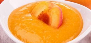 TOP 6 lækre opskrifter til fremstilling af abrikos sauce til vinteren