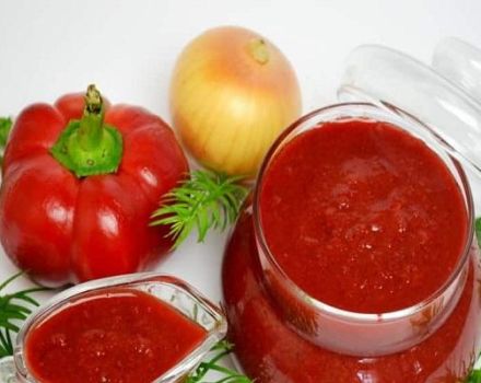 5 pinakamahusay na mga recipe para sa paggawa ng adzhika mula sa cherry plum para sa taglamig