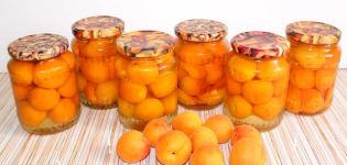 TOP 10 des recettes pour faire des abricots au sirop pour l'hiver avec des tranches