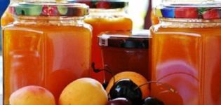 Ein einfaches Rezept für die Herstellung von Pflaumen- und Aprikosenmarmelade für den Winter
