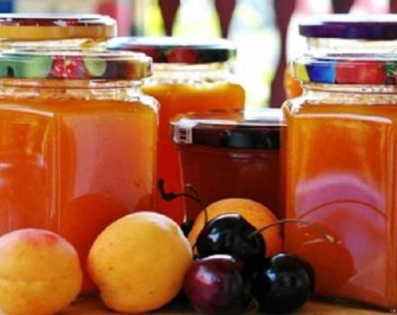 A simple recipe for making plum and apricot jam for the winter