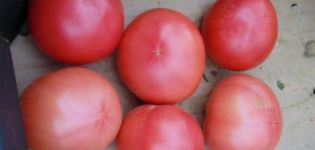 Tomaattilajikkeen ominaisuudet ja kuvaus