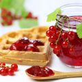 17 easy recipes for making red currant jam for the winter