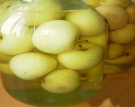 Lépésről lépésre recept éretlen almakompot készítéséhez télen