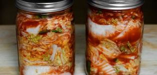 Kavanozlarda kış için lahana konservesi için en iyi 11 lezzetli tarif