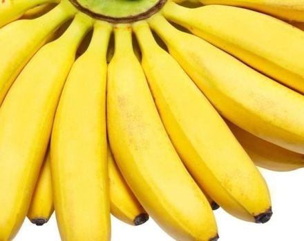 10 najboljih recepata banana po korak po zimi