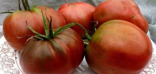 Description de la variété de tomate Chernomor, sa culture et son rendement