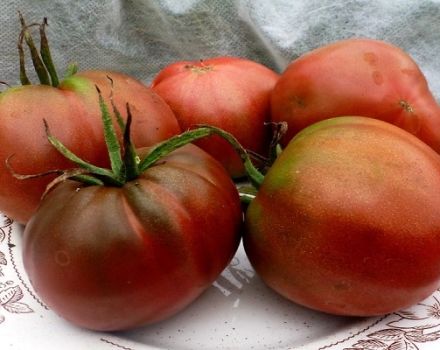 Descrizione della varietà di pomodoro Chernomor, sua coltivazione e resa