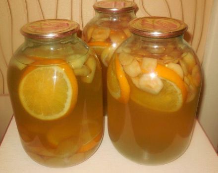 TOP 6 des recettes de compote comme Fanta d'abricots et d'oranges pour l'hiver