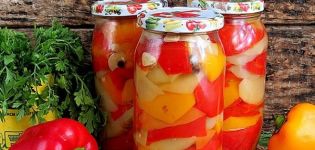 Step-by-step recipes for making peppers in honey at home for the winter