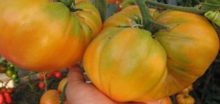 Caractéristiques et description de la variété de tomate Géante jaune