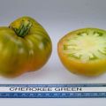 وصف مجموعة متنوعة من طماطم شيروكي الخضراء الذهبية ، وميزات الزراعة والرعاية