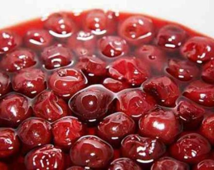 TOP 4 simple recipes for making pickled cherries for the winter
