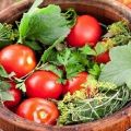 TOP 16 opskrifter på saltede tomater i krukker på en kold måde uden eddike