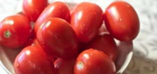 Nepas serisinden en verimli az büyüyen ve doymamış tatlı domates çeşitleri