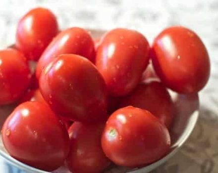 Les variétés de tomates douces à faible croissance et insaturées les plus productives de la série Nepas