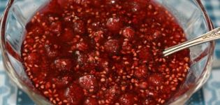 TOP 20 eenvoudige en heerlijke recepten voor het maken van frambozenjam voor de winter