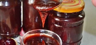 Nangungunang 5 mga recipe para sa paghahanda ng seedless prune jam para sa taglamig