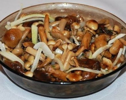 A simple recipe for making pickled mushrooms for the winter