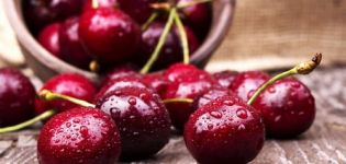 Nyttige egenskaber og skader af kirsebær for menneskers sundhed og kontraindikationer