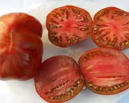 Kenmerken en beschrijving van de tomatenvariëteit Berkeley Tai Dai
