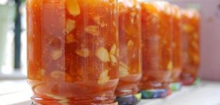 8 geriausi persikų ir graikinių riešutų uogienių receptai žiemai