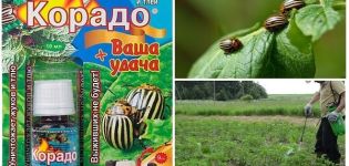 Instructions for use of the drug Corado from the Colorado potato beetle
