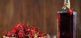 TOP 2 opskrifter til fremstilling af vin fra hindbær og rips derhjemme