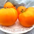 Tomaattilajikkeen ominaisuudet ja kuvaus Oranssi mansikka saksa, sen sato