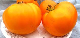 Eigenschaften und Beschreibung der Tomatensorte Orange Strawberry German, deren Ertrag