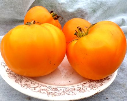 Charakteristika a opis odrody paradajok Orange Strawberry German, jej výnos