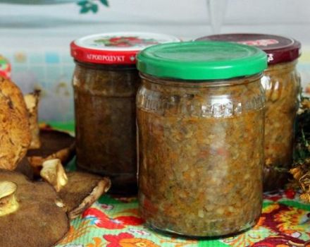 19 der köstlichsten Rezepte zur Herstellung von Kaviar aus gesalzenen Waldpilzen