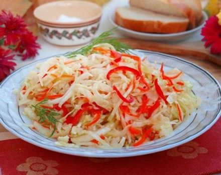 14 γρήγορες συνταγές για την παρασκευή τουρσί λάχανο της Προβηγκίας για το χειμώνα