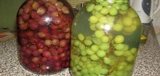 TOP 2 ricette per uva in scatola sciroppata per l'inverno
