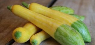 Beskrivelse af zucchini-sorten Blid marshmallow, funktioner i dyrkning og pleje